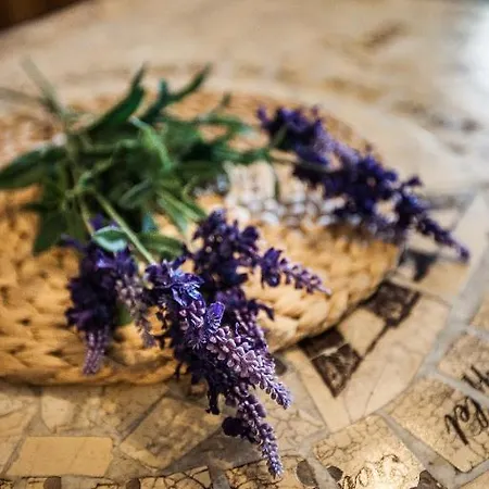 Anna Tatil Evi Siofok