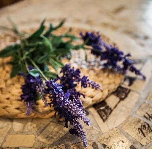 Anna Holiday home Siofok